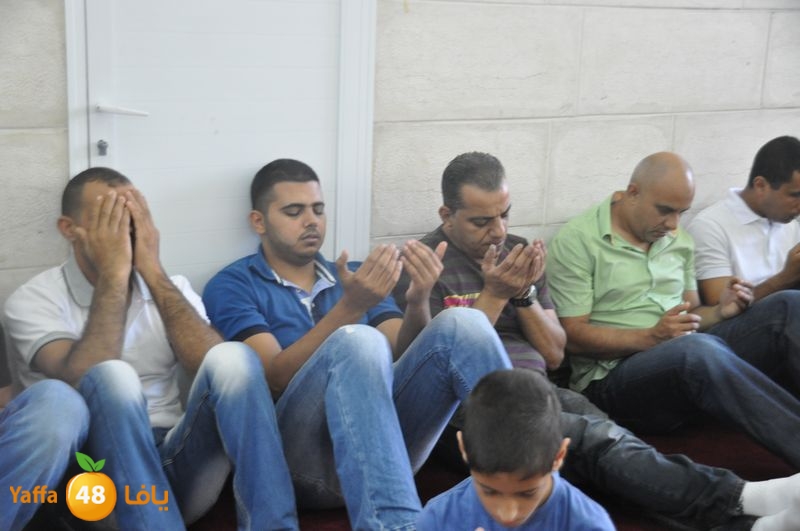 jom3a lud 831 (47).JPG